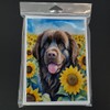Caroline's Treasures Newfoundland in Sunflowers Greeting Cards Pack of 8