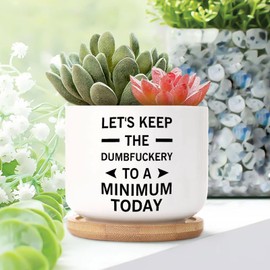 DecStic Let's Keep The Dumbfuckery to A Minimum Today Planters Ceramic Bible Verse Round Flower Pots with Drainage Holes and Bamboo Tray Pot for Home Desktop Office Windowsill