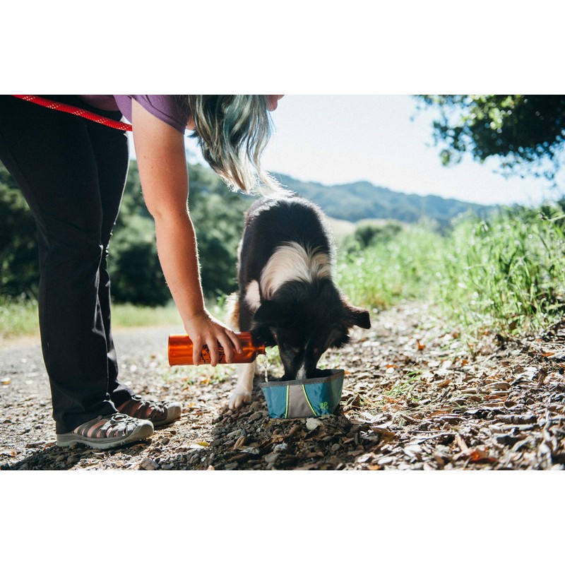 ZippyPaws ZP486 Bowl, Forest Green