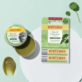 Burt's Bees 버츠비 레스큐오인트먼트 시카+레스큐오인트먼트 시카스틱듀오 Burt's Bees Rescue Ointment Sica+ Rescue Ointment Sica Stick Duo