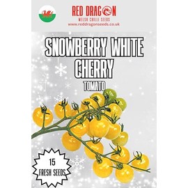 Cherry Tomato Seeds (Snowberry White Cherry)