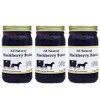 All Natural Fruit Butters 8 oz. (Blackberry (3 Jars))