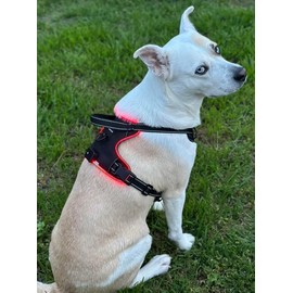 Dog Harness Led Light Pet Adjustable Dog Harness Safety Harness Small Medium Large Dogs Rechargeable Led Lights Night Running No Pull Harness Tactical Service Water Resistant (Red, Large)