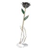 Long Stem Dipped 24k Gold Trim Red Rose In Gold