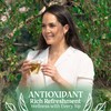 Citrus Mint Mojito Green Tea: a Craft Mocktail Tea by