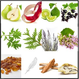 FILA Fresh Gift Set - EDT and Body Spray for Men with Crisp, Aquatic Aroma - Long Lasting and Refreshing Cologne for Men - Day and Night Wear - 2 pc