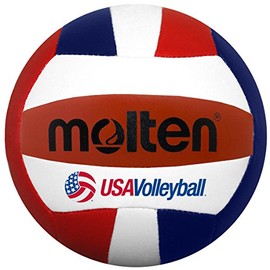 Molten Mini Volleyball (Red/White/Blue, 5-Inch Diameter)