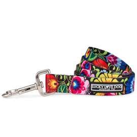 Lucky Love Dog Leash | Beautiful Vivid Patterns | Durable & Long Lasting (Blackbird, Small)