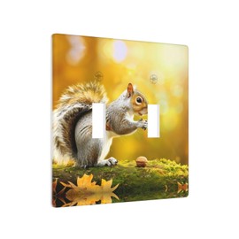 YYHWHJDE Double Switch Wall Plate Durable Heat Resistant for Residential and Commercial Areas Squirrel Eating Walnut Picture
