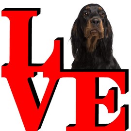 Gordon Setter Love Park Cute Dog Fridge Refrigerator Car Magnet