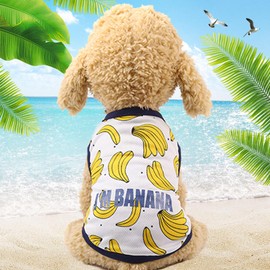 Peukialt Dog Clothes, Spring & Summer, Autumn, 3 Pieces, Cute, Tank Top, Mesh, Characters, Thin, Small and Medium Dog Clothes, T-shirt, Sleeveless, Cat Clothing, Dog Wear, Pet Wear, Breathable, For