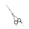 Professional Hair Cutting Scissors, Japanese Stainless Steel, 6.5 inch