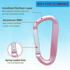 2 Pack Pink Carabiner Clip, 3" Aluminum Alloy Caribeener D
