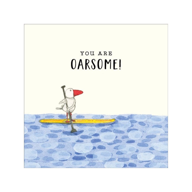 Twigseeds Blank Card Set - All Occasions Seagull