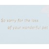 Papyrus Pet Sympathy Card (Wonderful Pet)