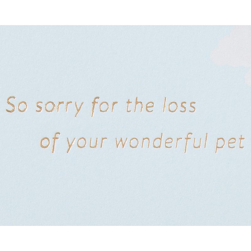 Papyrus Pet Sympathy Card (Wonderful Pet)