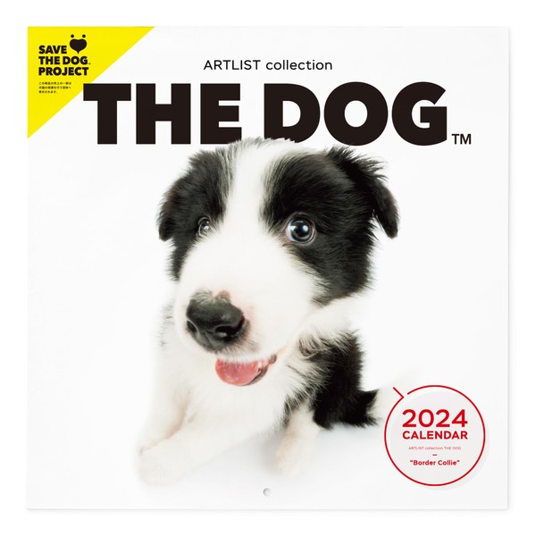 THE DOG 2024 Large Calendar [Border Collie]