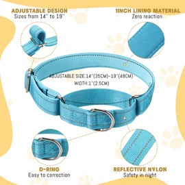 Cunno 12 Pcs Martingale Collar for Medium Dogs Reflective Dog Collar with Durable Metal Buckle Adjustable Nylon Pet Prevent Slipping Out for Pupplies, 12 Colors(Medium)