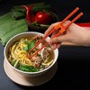 Chopsticks and Chop Stick Helpers 5 Pairs Set, Plastic Hinges