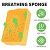 4 Pack Compostable Pop-Up Sponges - Expanding, Non-Scratch, Plant-Based Dish