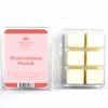 Sherwood Garden Home Fragrances Watermelon Punch Soy Wax Melts 70