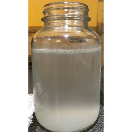 WheyWorks LAB's • Lactic Acid Bacteria • 100% Organic Soil Drench & Foliar Feed • 8 Oz