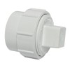 Canplas 193701AS PVC Female Cleanout Adapter with Plug, 1-1/2-Inch, White