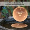 Joyfulmap Copper Bird Bath Purification Disk, 99.99% Pure Copper Cleaning
