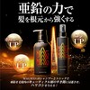 Sunstar MAGMAS Zinc Introduction Shampoo + Volume Up Tonic, Volume