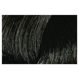 Color & Soin Ammonia Free Hair Color, Permanent Dye with Natural Vegetal (Plant) Extracts & Conditioner for Softness & Shiny Hair (4N - Natural Chestnut)