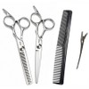 Treee Premium Hairdressing Scissors 4-piece Set Straight Scissors + Thinning Scissors + Comb + Pin, 1 Piece, Silver / 트리에 프리미엄 미용가위 4종 세트 일자가위+숱가위+빗+핀, 1개, 실버