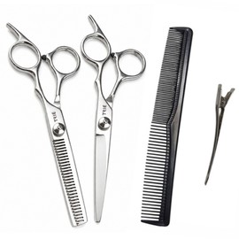 Treee Premium Hairdressing Scissors 4-piece Set Straight Scissors + Thinning Scissors + Comb + Pin, 1 Piece, Silver / 트리에 프리미엄 미용가위 4종 세트 일자가위+숱가위+빗+핀, 1개, 실버
