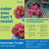 1 Gallon Endless Summer Hydrangea Summer Crush Shrub