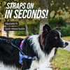Leash Boss No Pull Dog Harness, Easy Walk for Small,