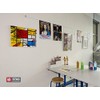 STAS Paper Rail 78.7'' - Wall-Mounted Display for Posters, Photos,
