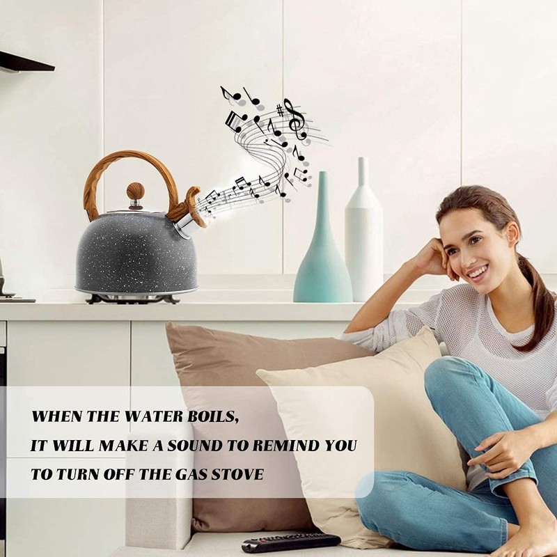 Webao Tea Kettle Whistling Kettle Induction 2.5 L Stainless Steel