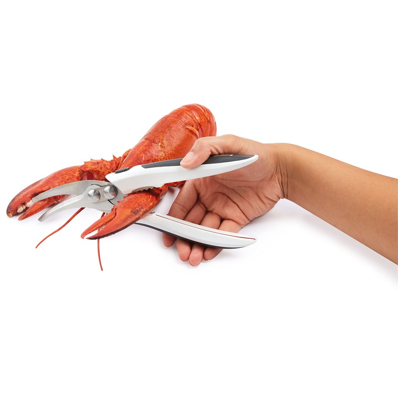 Zyliss E910039 Shellfish Shears, 22cm, Plastic/Stainless Steel, Multifunctional Shears for