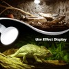 MCLANZOO Reptile Heat Lamp 75W 2 Pack,UVA Basking Light Heat