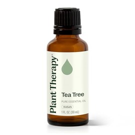 Plant Therapy | Aceite Esencial de Árbol de Té | 30 ml | 100% Puro | Grado Aromaterapia | Sin Aditivos | Envase con Gotero