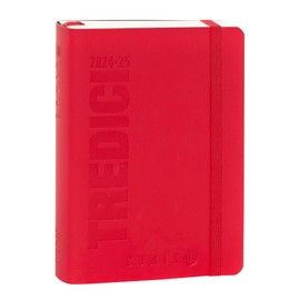 COMIX U YOURSELF 2024-2025 Mini Daily Diary, 13 Month Diary, with Soft PU Cover, Elastic, Expandable Pocket and 384 Pages, Ideal for School, 4.3 x 6 inches, Red