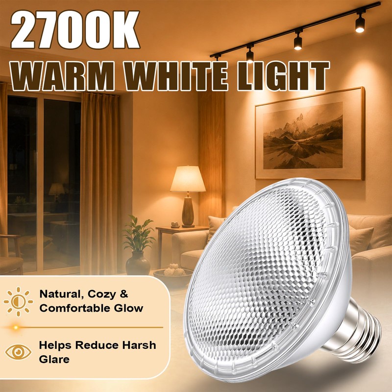PAR30 Short Neck Halogen Flood Light Bulbs, 2 Pack 120V