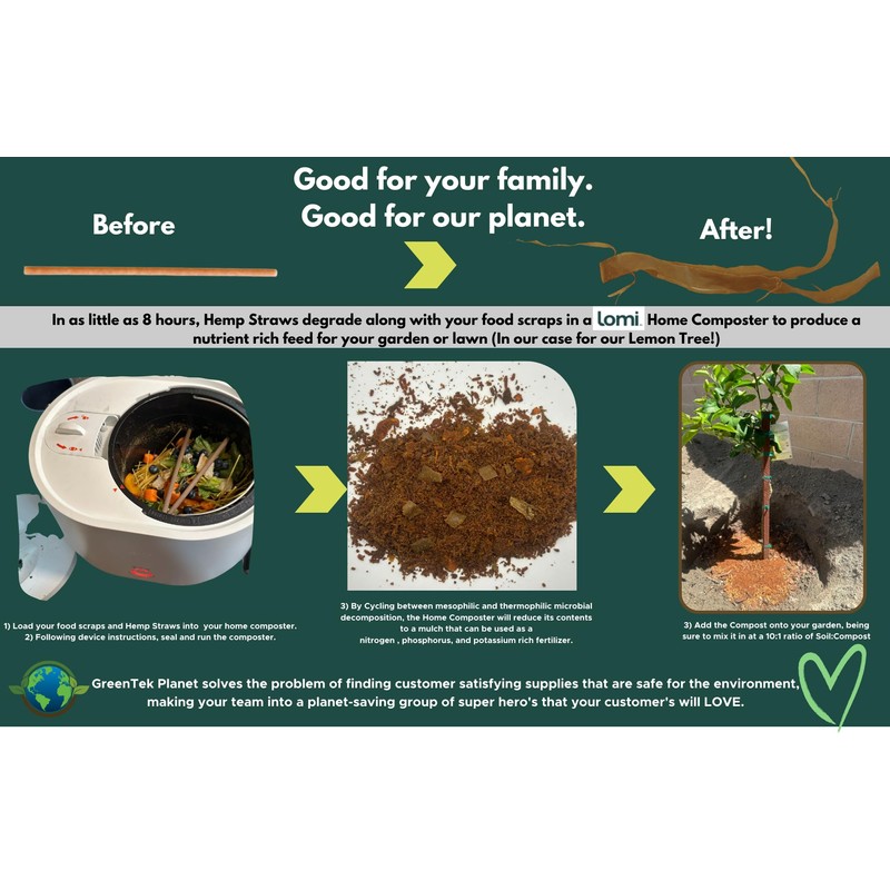 The Earth Straws 500 count 8" Disposable Straws – 100%