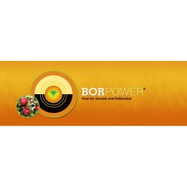 PowerAg BorPower Boron Micronutrient - 2.5 Gallons
