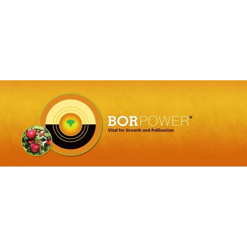PowerAg BorPower Boron Micronutrient - 2.5 Gallons