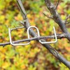 Branch Support for Fruit Trees, Pack of 60 9 cm