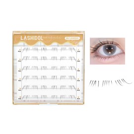 LASHIDOL Partial False Eyelashes, Straight Pita Eyelashes, Lower Eyelashes, No Glue Required False Eyelashes, Glued Eyelashes, False Eyelashes, Partial False Eyelashes (Fringe Lower Eyelashes)