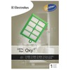 Electrolux S-filter HEPA Vacuum Filter, Green