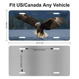 Muishi Cool Eagle Mountain Lake Decorative License Plate, Vanity Tag, Metal License Plate, Aluminum Novelty License Plate Home Decor for Men/Women/Boy/Girls 6 X 12 Inch (4 Holes)