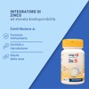 LongLife® Zinc 25 | Zinco ad elevata biodisponibilità | Alto