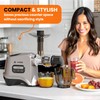 Eurolox Slow Masticating Juicer – Cold Press Machine for High-Yield